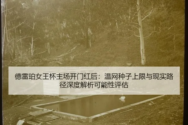 德雷珀女王杯主场开门红后：温网种子上限与现实路径深度解析可能性评估 | j9 game